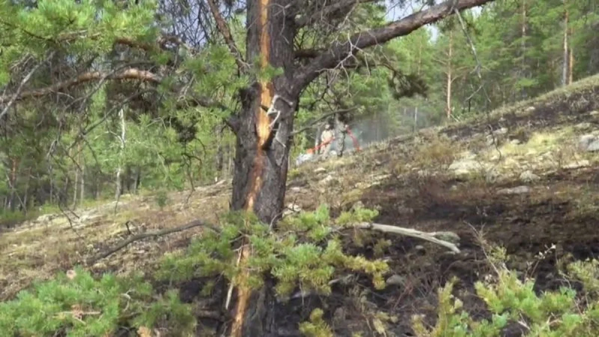 Бурабайда найзағай разрядынан орман өртенді