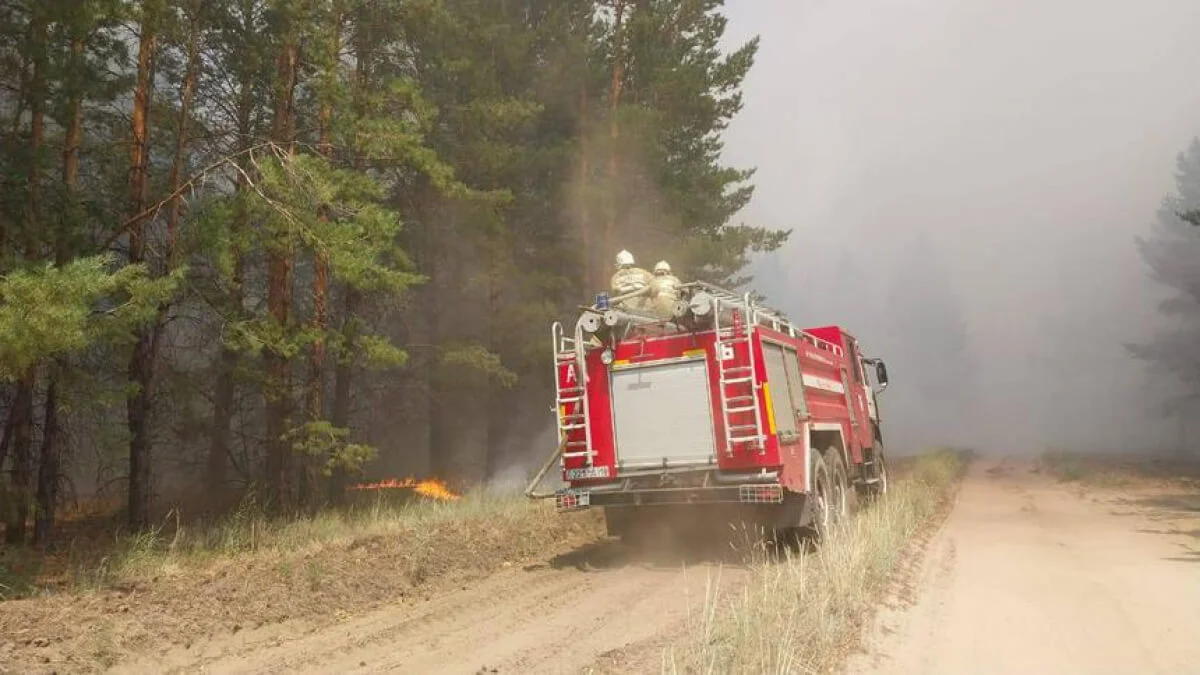 Абай облысында 11 күн бойы жанған орман өрті сөндірілді