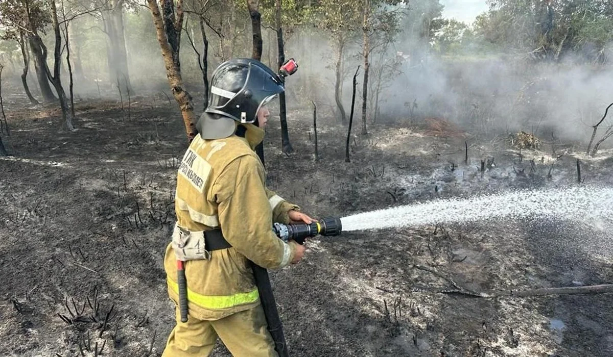 Наурызым қорығындағы орман өрті сөндірілді