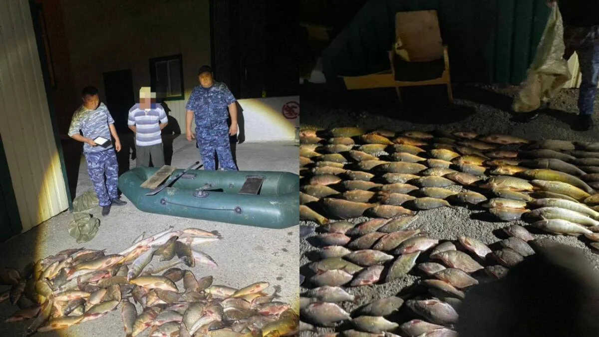 Шу тұрғынынан полицейлер 100 келіге жуық балық тәркіледі