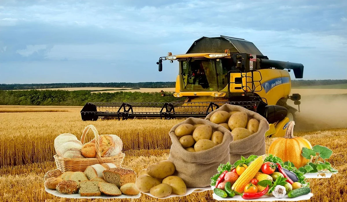 Үкімет отандық ауыл шаруашылығы өнімін өндірушілерге қолдау көрсетеді