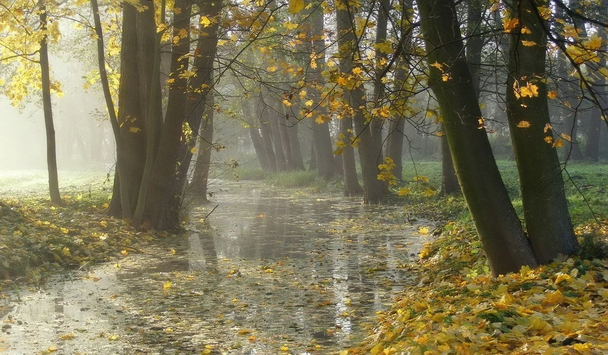 Бүгін еліміздің басым аумағында жаңбыр, кей өңірде қар жауады