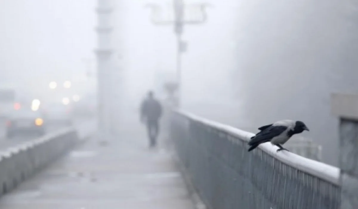 Тұман, көктайғақ, қатты жел: 15 облыста дауылды ескерту жарияланды