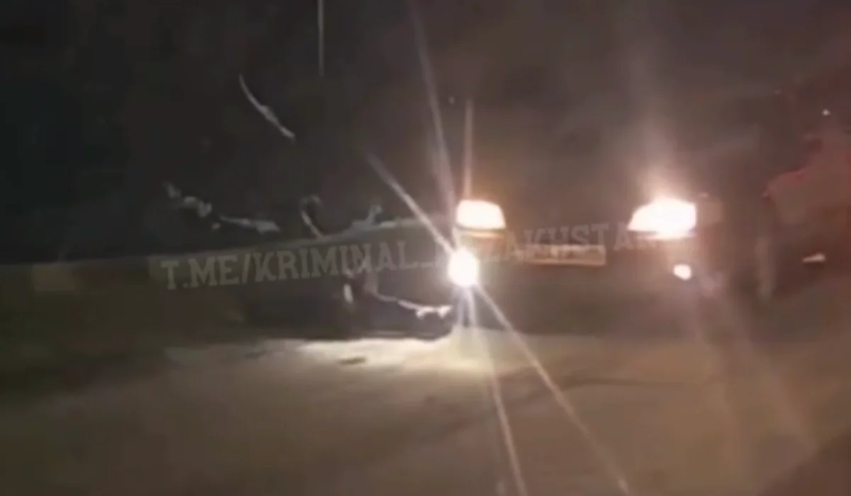 Алматыда жолдан жүгіріп өтпек болған балаларды көлік қағып кетті