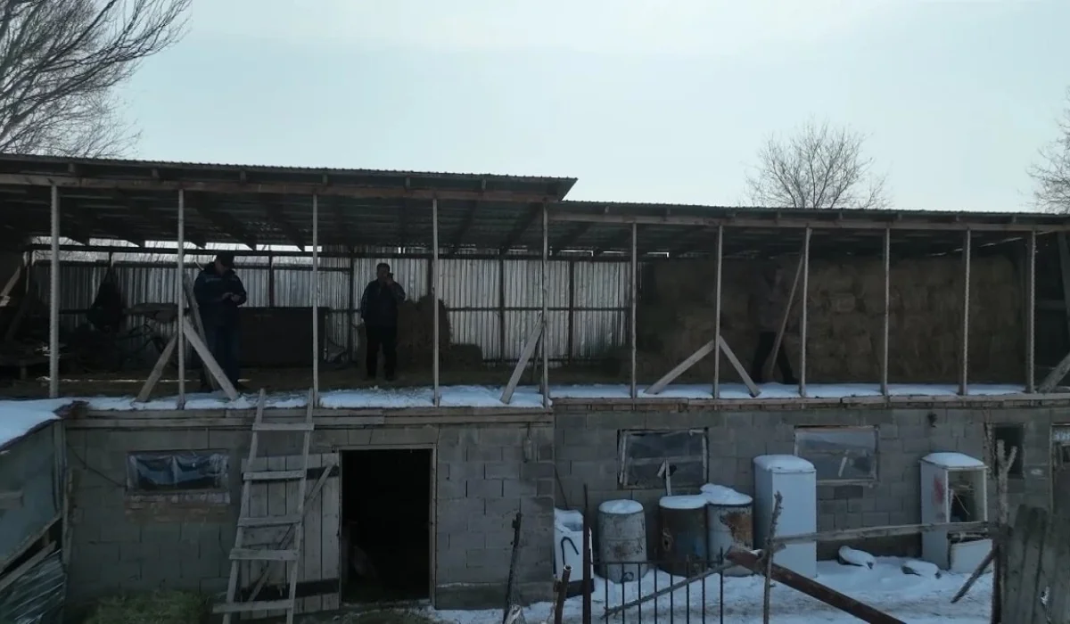 Байланыс аясынан тыс ауыл: Алматы облысында тұрғындар қоңырау шалу үшін көрші ауылға баруға мәжбүр