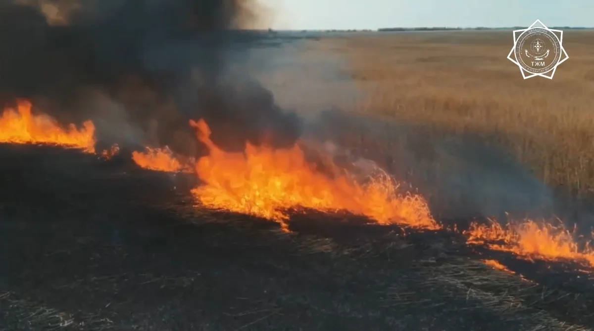 Атырау облысында бір аптаға созылған қамыс өрті сөндірілді