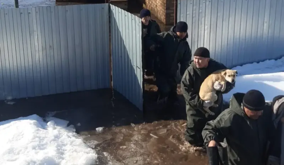 Орал қаласында саяжай тұрғындарын көшіру басталды