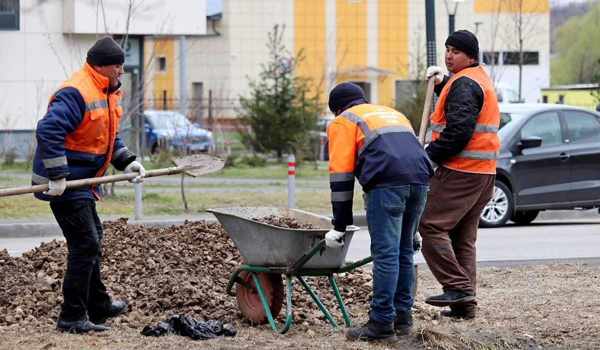 Қазақстанға келген мигранттар көбіне қандай қылмысқа барады? Ресми статистика