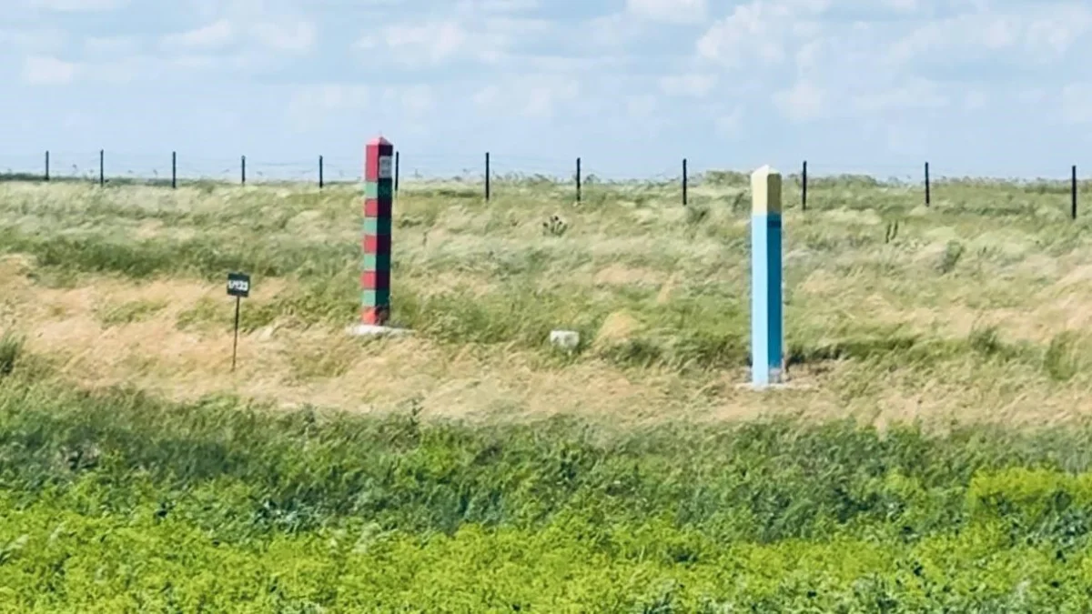 Қостанай облысының егіс алқаптарын Ресейден келетін шегірткелер басуы мүмкін