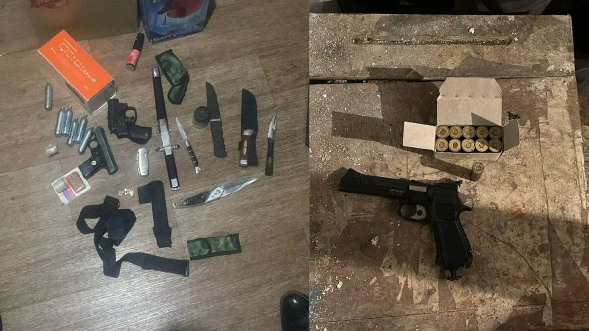 СҚО тұрғыны сирек кездесетін қаруларды заңсыз сақтаған