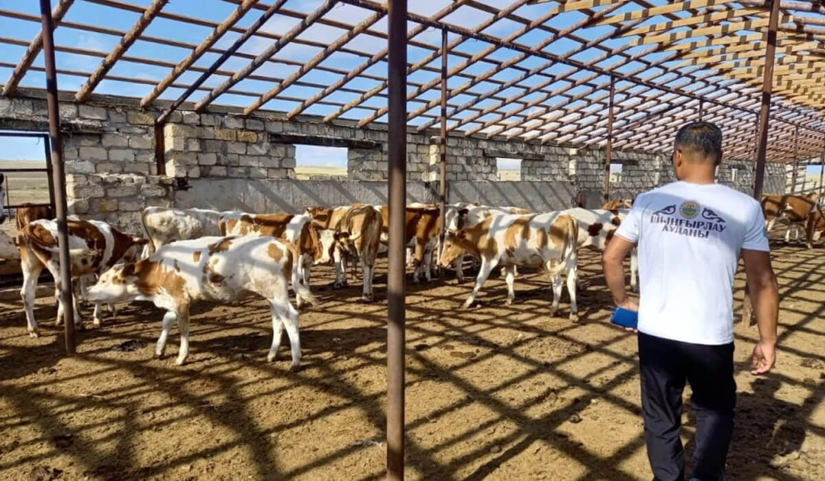 «Ауыл аманаты» жобасы аясында қандай өңірлер қаржыландырылды