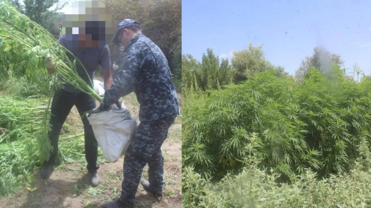 Кеудеге толы жетілген әйелдердің фотосуреттері