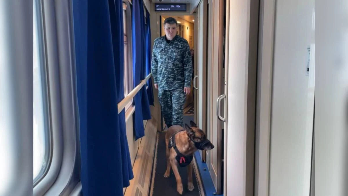 Пойызда есірткі тасымалдаған шетелдік ұсталды