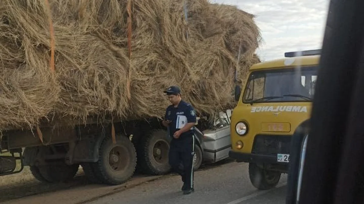 Жеті баласы жетім қалды: БҚО-да жол апатынан бес адам, оның ішінде полицей қаза болды