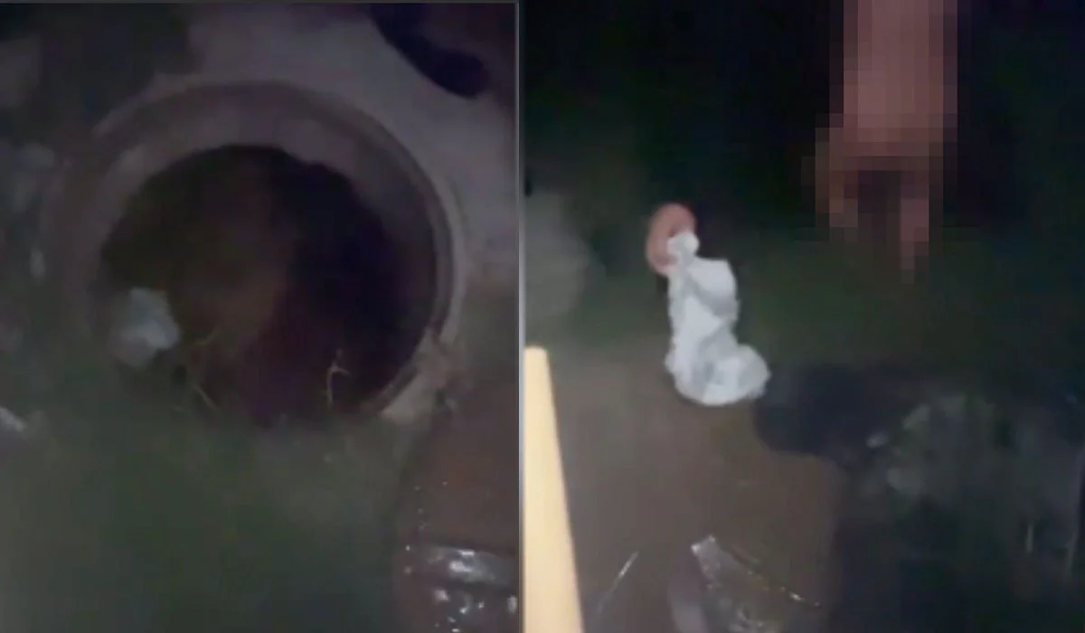 Талдықорғанда 2 жасар бала септикке құлады (ВИДЕО)