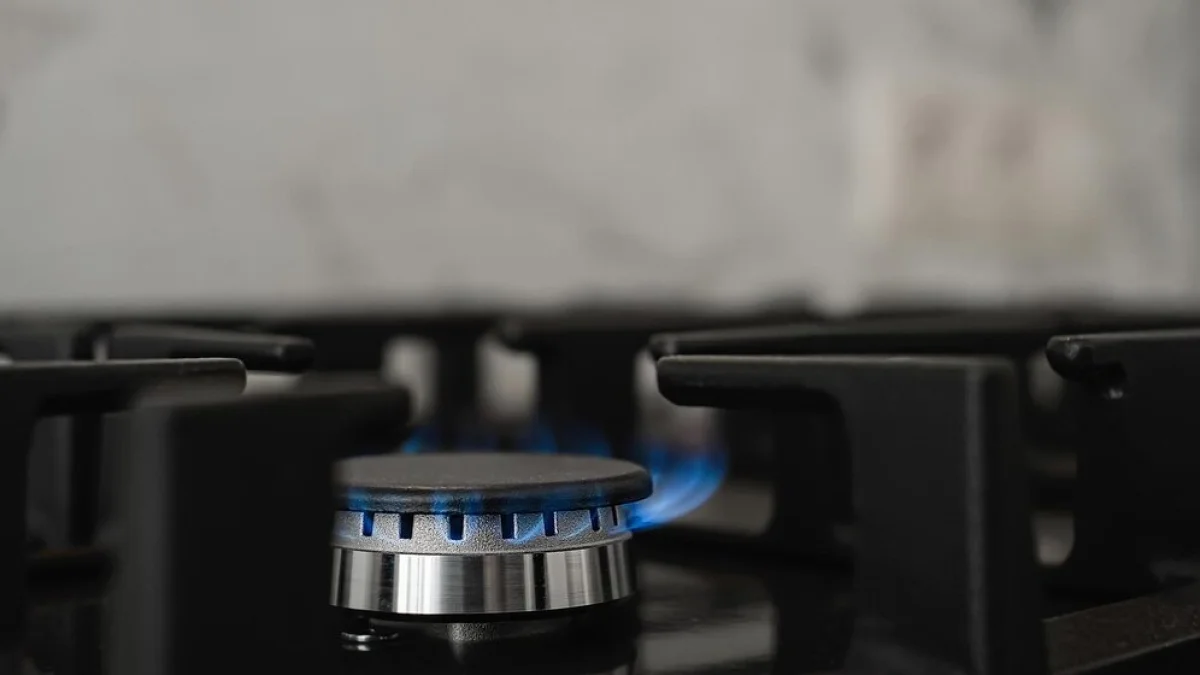 Жамбыл облысында екі отбасының мүшелері газдан уланып көз жұмды