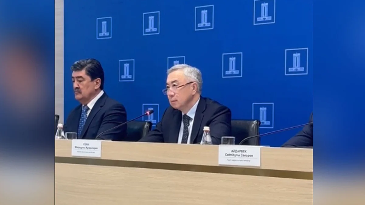 Үкімет кез келген нәрсе үшін референдум өткізе алмайды – Серік Жұманғарин (ВИДЕО)