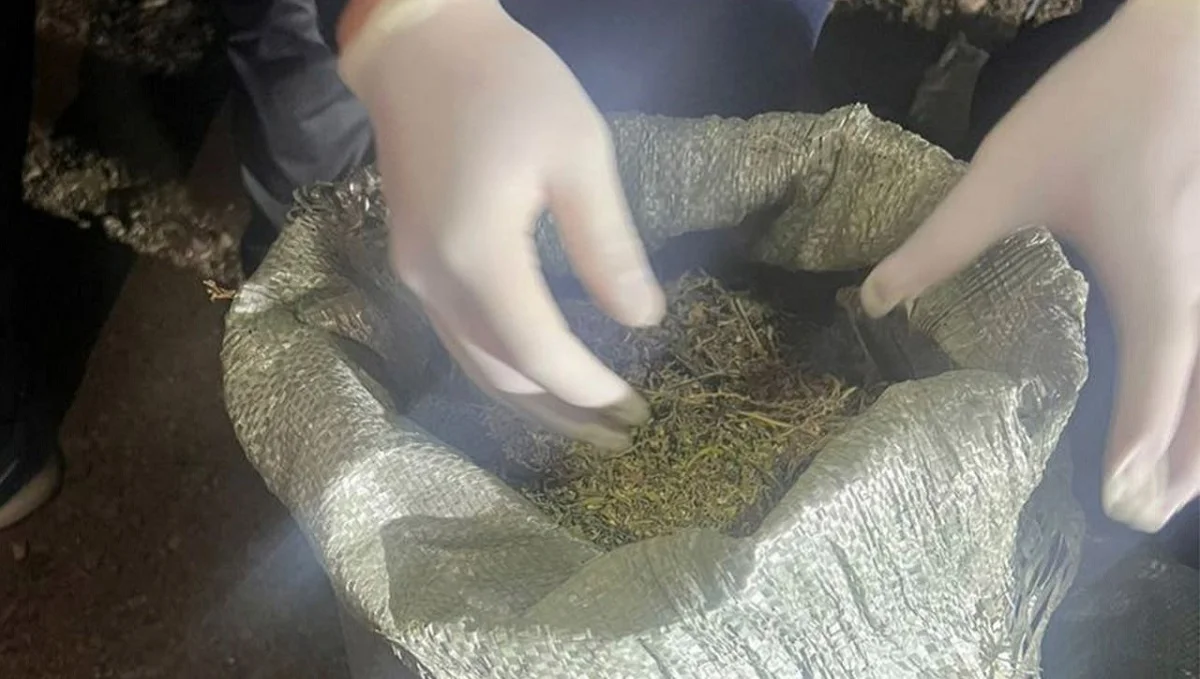 Жамбыл облысында аса ірі көлемде есірткі сатумен айналысқан екі топ ұсталды