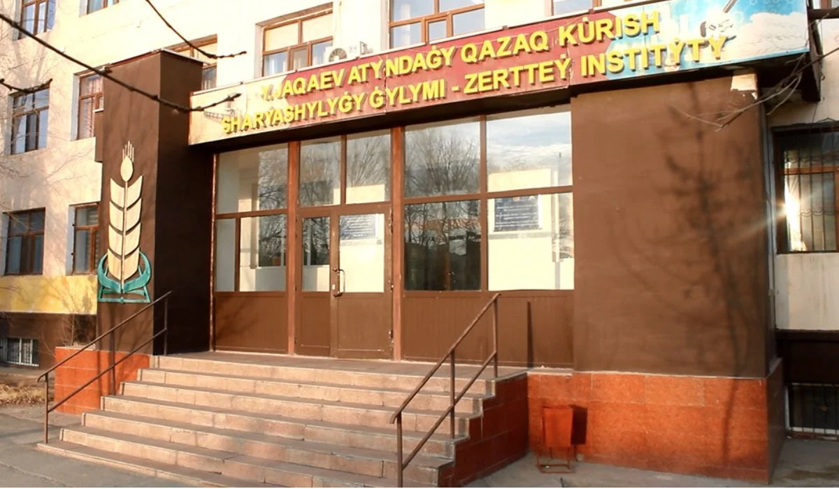 Күріш саласын зерттейтін Қазақстандағы жалғыз институт күйреп тұр – депутат