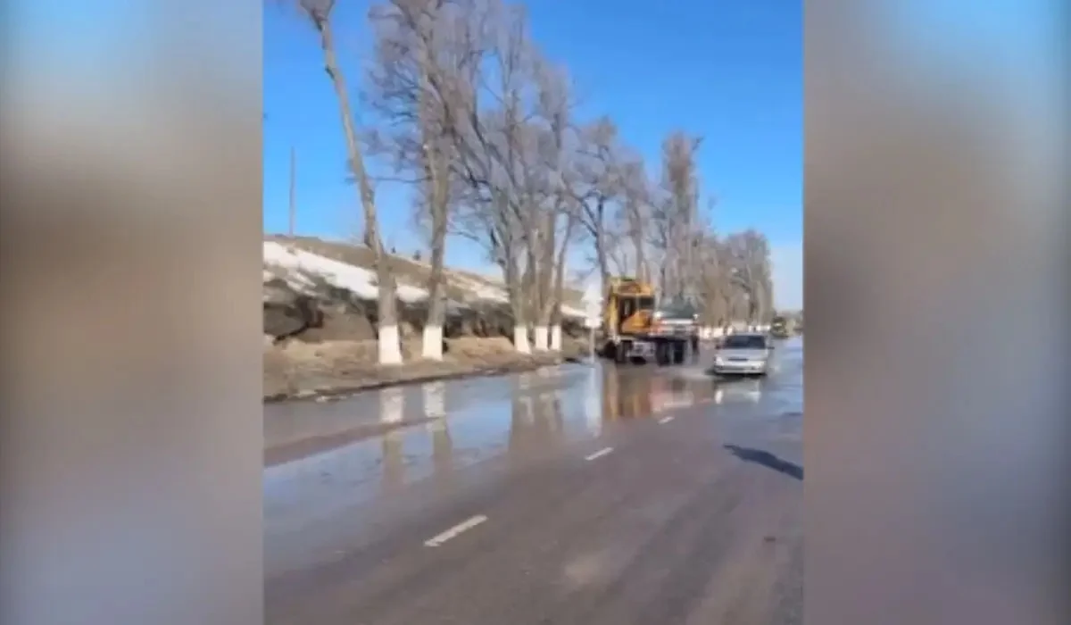 Ұзынағашта қар еріп, ауыл көшелерін су басып қалды (ВИДЕО)