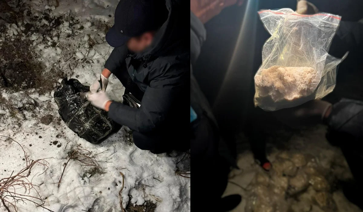 ҰҚК екі халықаралық есірткі арнасын жойды: 20 кг синтетика тәркіленді