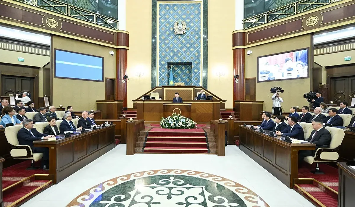 «Кейде оларды 7 айға дейін күтеміз»: Қошанов Үкіметтің жұмысын сынға алды