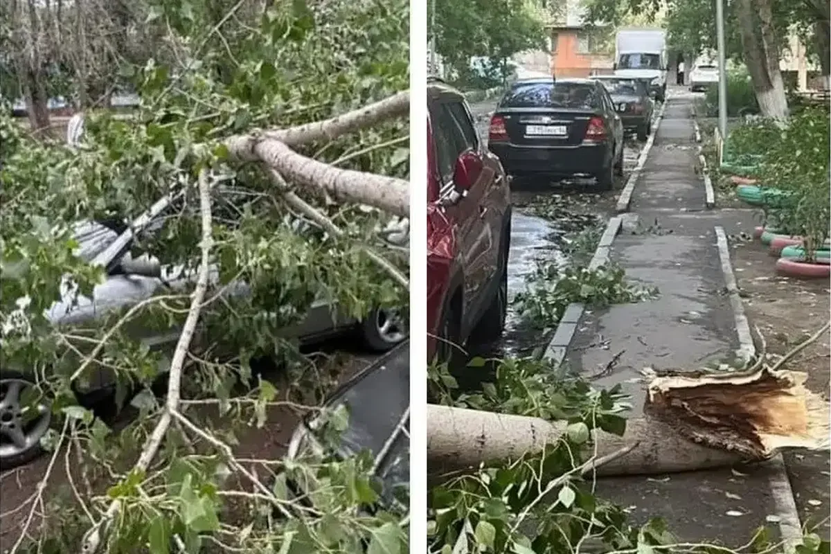 Ақсудағы дауылдан кейін қала басшылығына сөгіс жарияланды