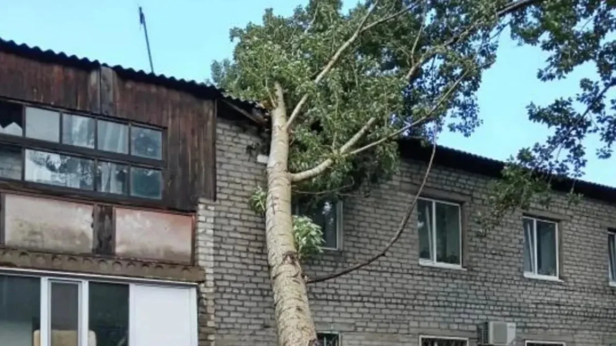 Павлодар облысында дауылдан зардап шеккен тұрғындарға баспана беріле ме