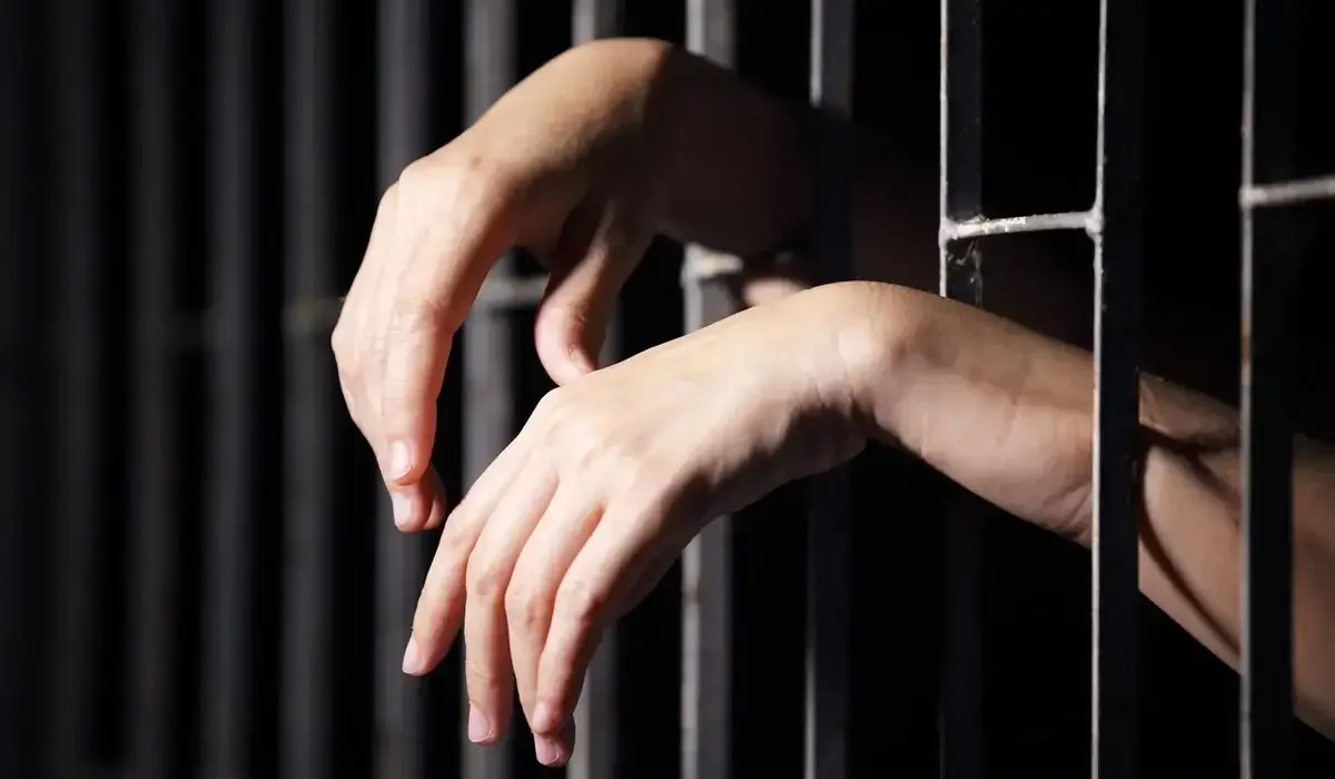 Алматы тұрғыны ірімшік ішіндегі сәлемдеме үшін 16 жылға сотталып кетті