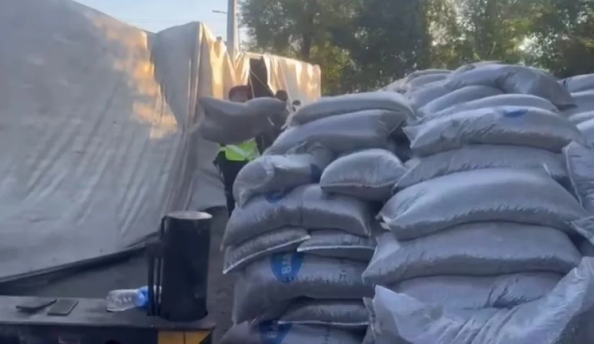 Жетісу облысында 35 тонна шемішке тиеген фура аударылып қалды (ВИДЕО)