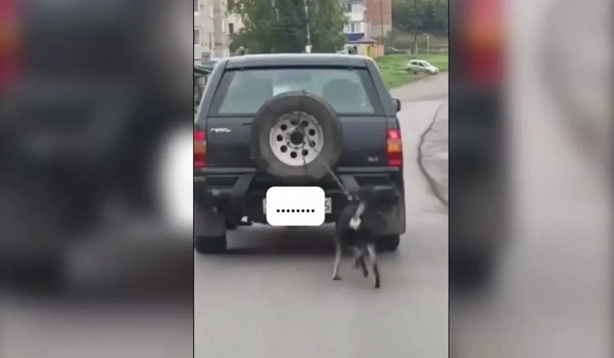 Шығыс Қазақстан тұрғыны итін көлігіне байлап сүйреген (ВИДЕО)
