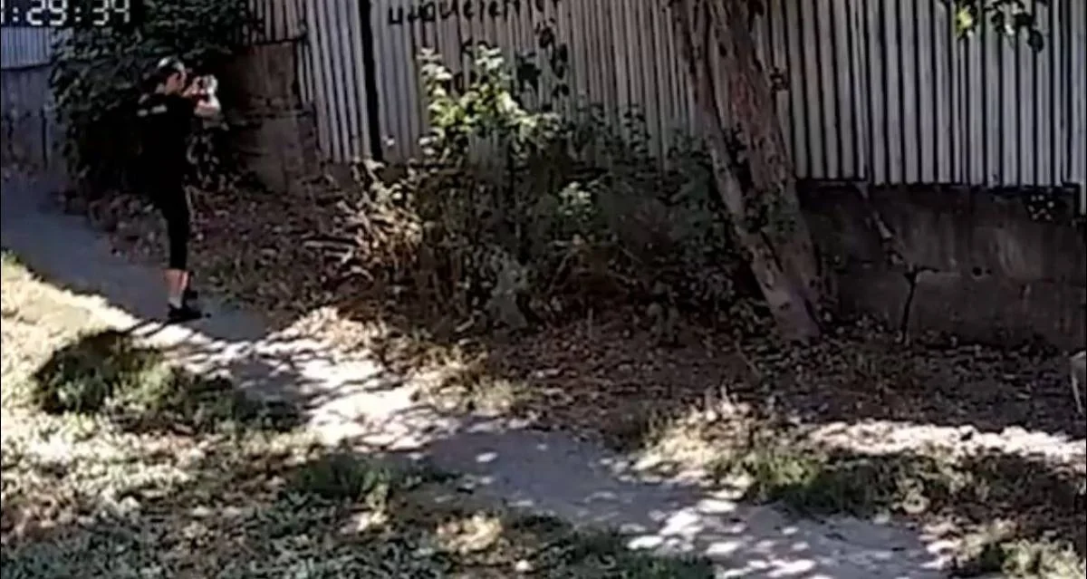 Скуби-Ду секс комикс