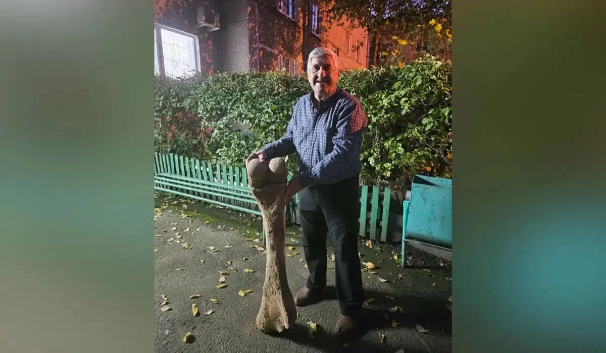 СҚО-да Есіл өзенінен мамонттың алып сүйегі табылды
