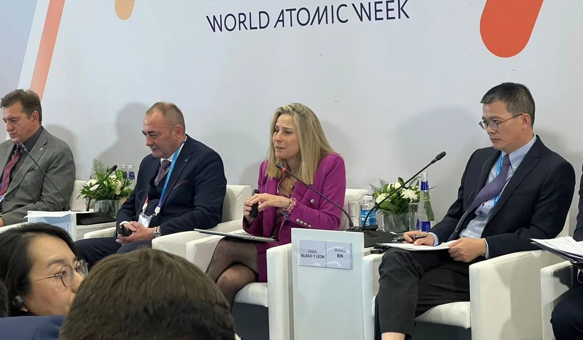 Түркия 2028 жылдың соңына дейін АЭС-тің блоктарын іске қосады