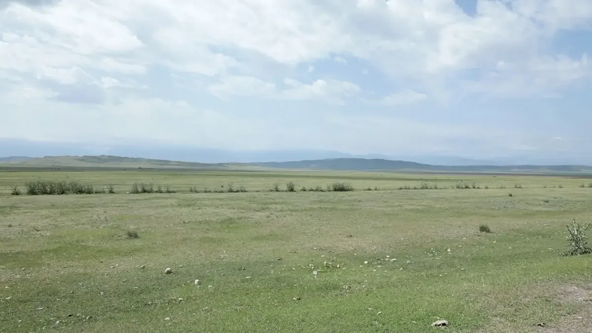Экс-шенеуніктердің 21 мың га жері мемлекетке қайтарылды