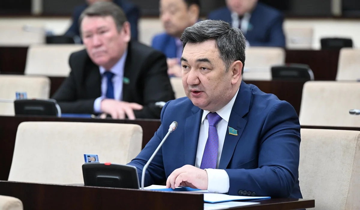 Сенатор Үкіметтен музыкалық аспап шеберлеріне кәсіби мәртебе беруді сұрады