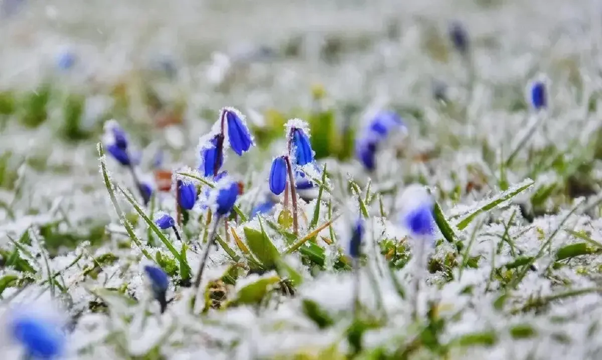 Кей өңірлерде -5° болады: 6 қазанда елімізде күн суытады