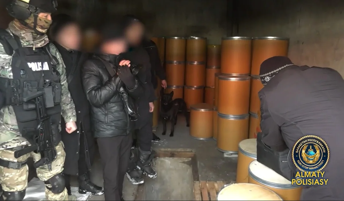Алматыда үш қылмыстық топ қолға түсті: олардан жарты тоннадан астам есірткі тәркіленді