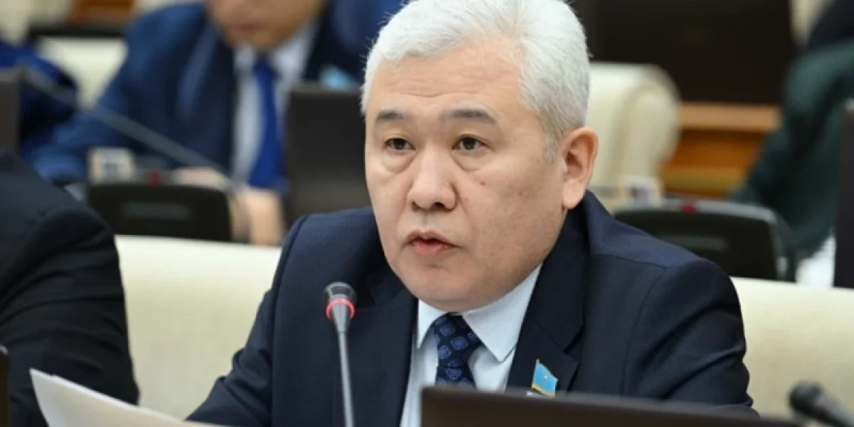 «Халыққа едәуір жеңілдіктер қарастырылған»: депутат жаңа Салық кодексіндегі артықшылықтарды атады