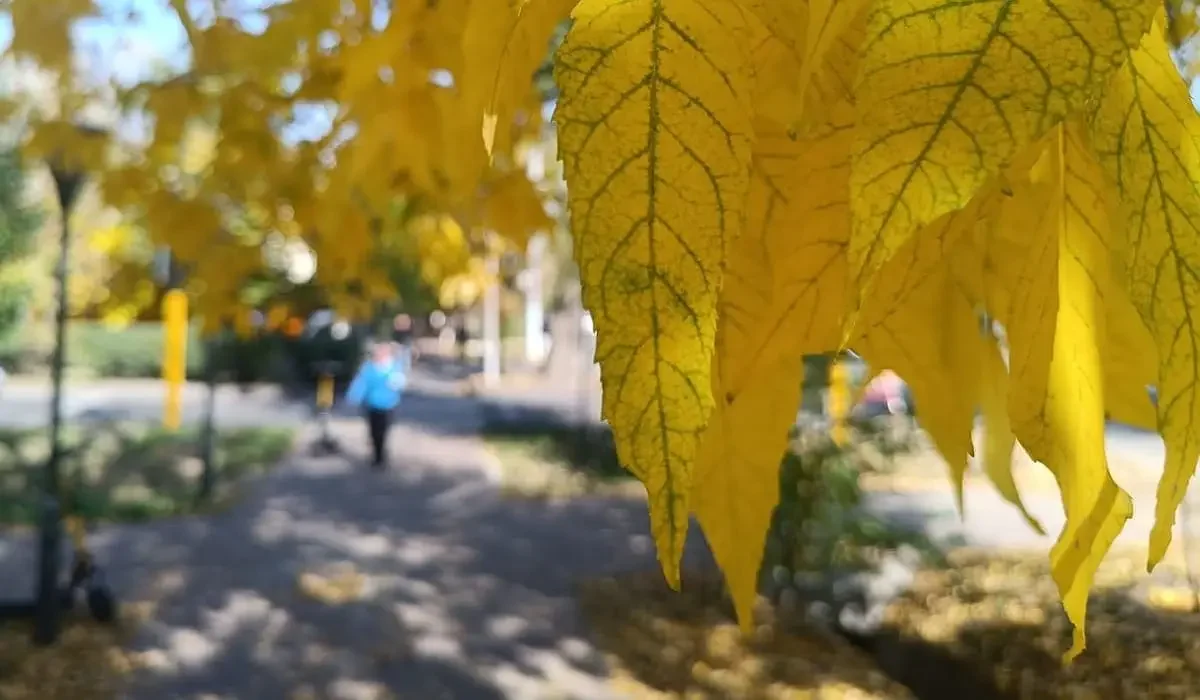 Қазақстан аумағының басым бөлігінде күн ашық болады