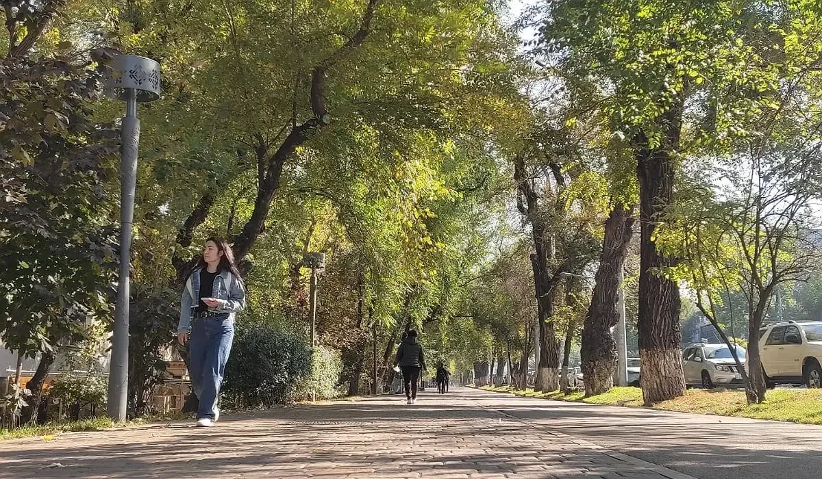 Алматыда жаңа экологиялық ережелер әзірленіп жатыр