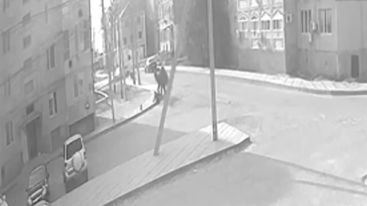 Құлсарыда көшеде жүрген жасөспірімге түйе шабуыл жасады (ВИДЕО)