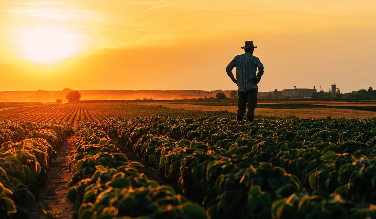 Депутат Мархабат Жайымбетов Үкіметтен фермерлерге субсидия берешегін жедел өтеуді талап етті