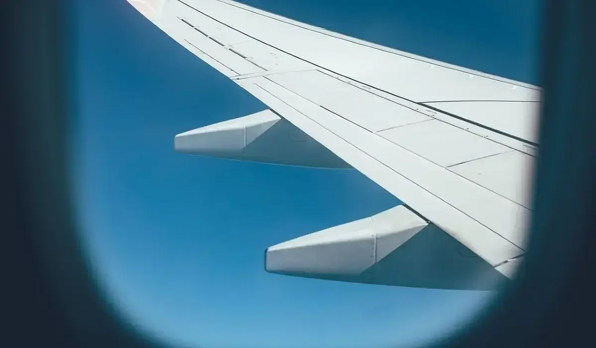 Алматыға бара жатқан екі жолаушы ұшақтан түсірілді