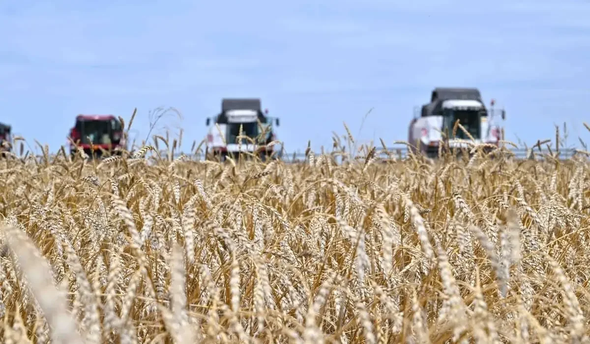 Ауыл шаруашылығы субсидиясы бойынша берешек 300 млрд теңгеден асты