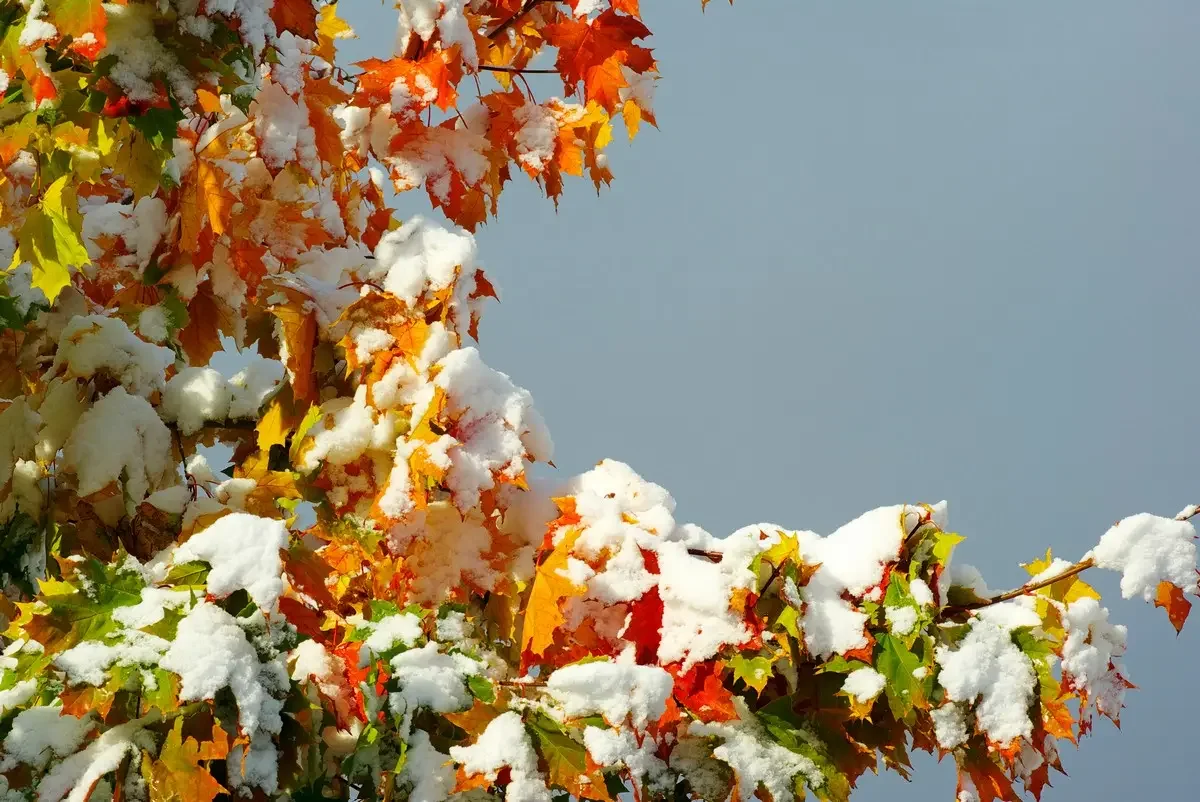 3 қарашаға арналған ауа райы болжамы жарияланды