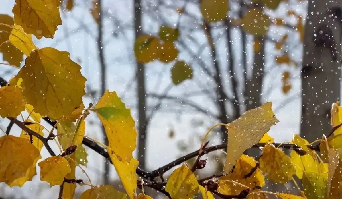 «Ауа райы құбылып тұр»: Ақмола полициясы жүргізушілерге ескерту жасады (ВИДЕО)