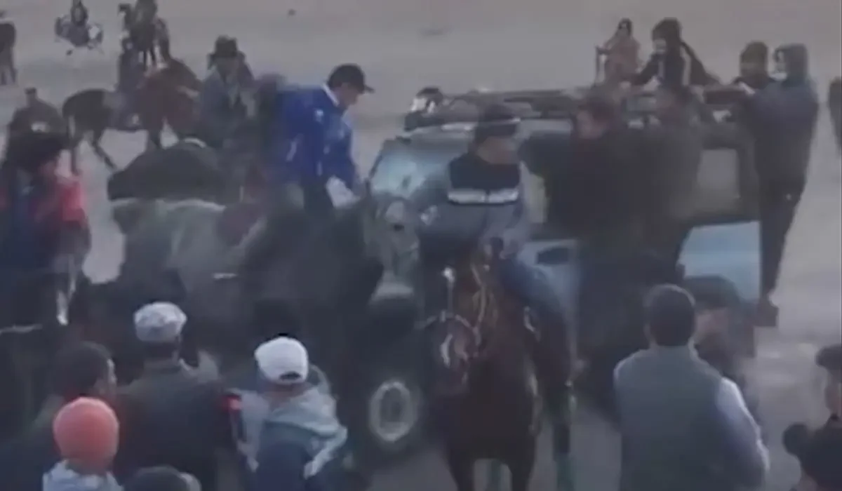 Қызылорда облысында көкпарда автокөлік аттарды қағып кетті (ВИДЕО)