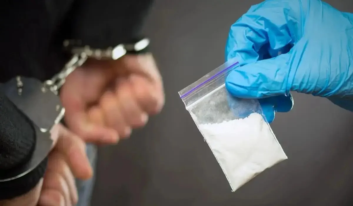 Жабайы секс 3