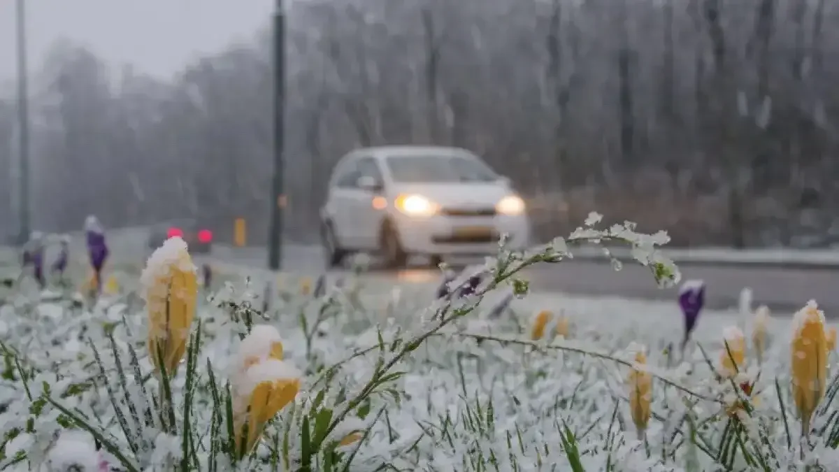 Қар, жаңбыр жауады: 5 қарашада Қазақстанда ауа райы қандай болады